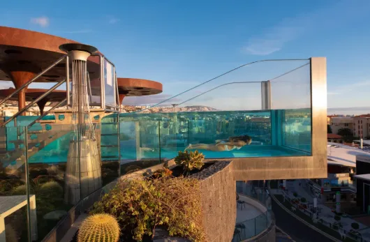 Zambra SkyBar glass-bottom pool day pass